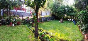 Pear Tree Inn Villa Kotagiri, Coonoor