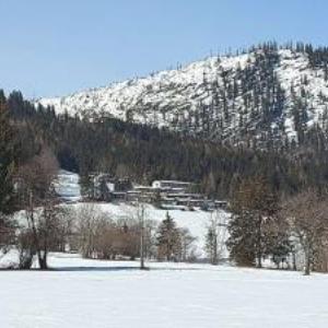 Haus Honigmond