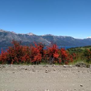 TU RINCON EN LA PATAGONIA