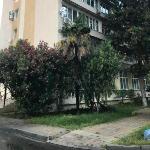 Apartment on Chaykovskogo Sochi 