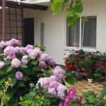 Guest house Zolotaja rybka Sochi