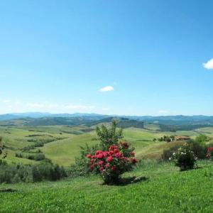 Locazione Turistica Casallario - VOL151