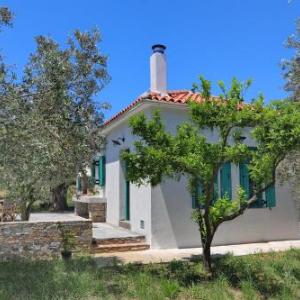 The Kampos House