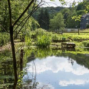 Ferienwohnung Hieren Mühle