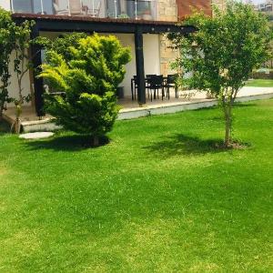 Cozy House near Gundogan in Bodrum