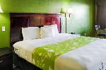 Sagemeadow Park Texas Hotels - Express Inn Hobby Airport