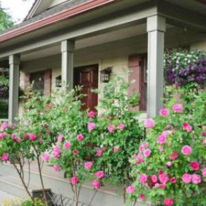 The Cottages at Bigfork
