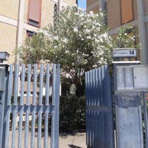 Strategic Apartment for short & long term