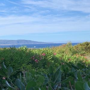 Appartamento Sole e Mare