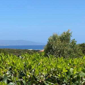 Appartamento Sole e Mare coppia