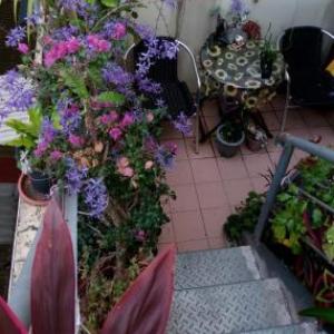 Pulisen Homestay