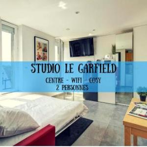 STUDIO LE GARFIELD Topdestination-Dijon