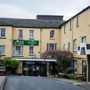 Lyric Theatre Carmarthen Hotels - Ivy Bush Royal Hotel by Compass Hospitality