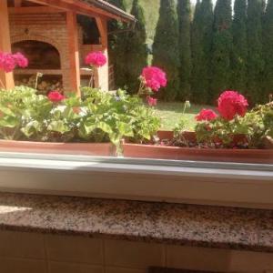 Holiday Homer Vila na Obali Vrbasa