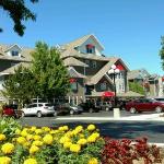 Cherry tree Inn and Suites traverse City Michigan