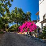 House in the Heart of Bodrum  21 with Garden Golkoy 