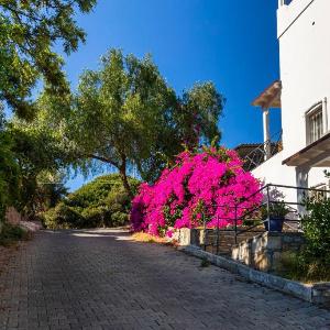 House in the Heart of Bodrum  21 with Garden