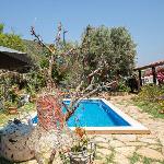 Private Pool & Garden in Bodrum  Spacious 31 Irmene