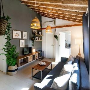 Luxury Historic Center Apartment