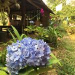 Huang Nam Keaw Homestay