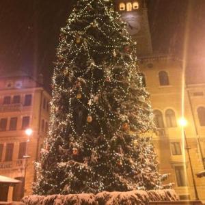 Fiocco di neve