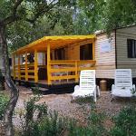 Greenchalets Lei Suves retro Roquebrune sur Argens