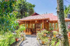 Ansmariya Holidays, Munnar