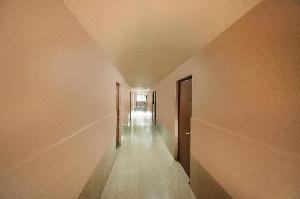OYO 28691 Hotel Golden Star, Jodhpur