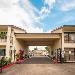 Hotels near Champion Forest Baptist Church - OYO Hotel Houston N Fm-1960 Champions TX