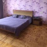 Apartment near circus on Pushkinskaya 