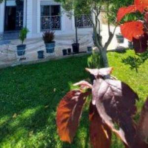 Villa Luiss Panorama