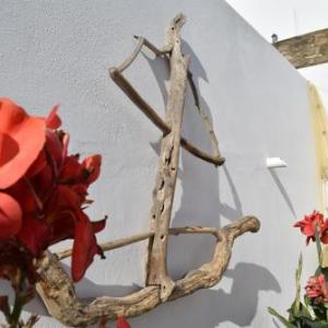 elena studios paros