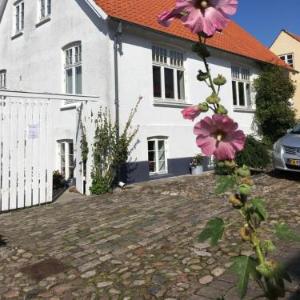 Hyggelig lille lejlighed