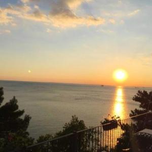 Apartment with one bedroom in Novigrad with enclosed garden and WiFi 400 m from the beach