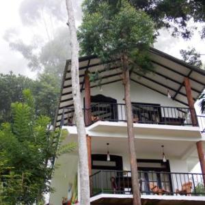 Hill Forest Cottage
