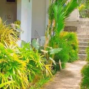 Pranu House