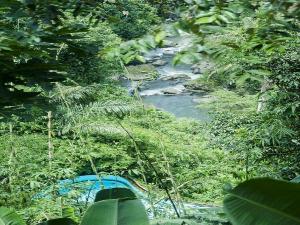 DTepi Ubud House, Bali