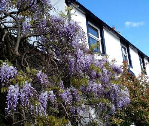 The White House Guest House, Penrith