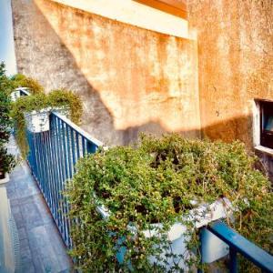 B&B Stramondo