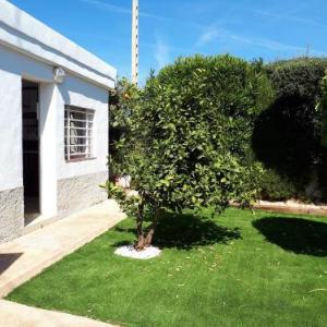 House with one bedroom in Alcanar with enclosed garden and WiFi 100 m from the beach