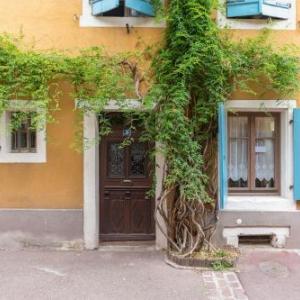 Travel Homes -The Cigogne quiet & heart of Colmar