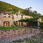 Traditional stone house in green Zagori village.