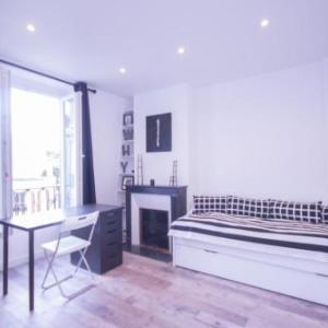 Beautiful bright apartment near the TROCADERO