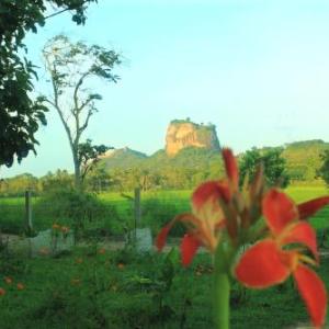 Lucky Villa Sigiriya