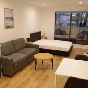 Modern Cosy Studio Apartment Auckland Central