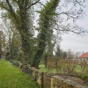 Snowdrop Cottage