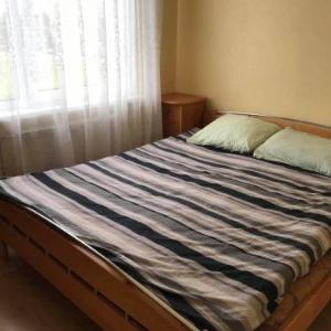 Spacious Apartment at Inzinieru