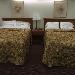 Hotels near Calvin Theatre - North King Motel