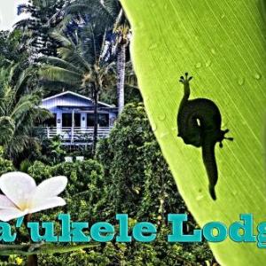 Hotels near Hilo Performing Arts Center - Ma'ukele Lodge