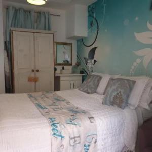 Small double self contained room central Torquay